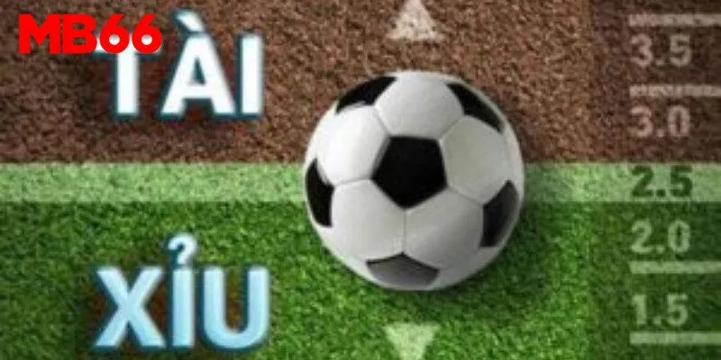 Tìm hiểu các mức cược phổ biến tại nhà cái